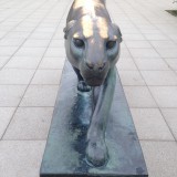 Der Panther
